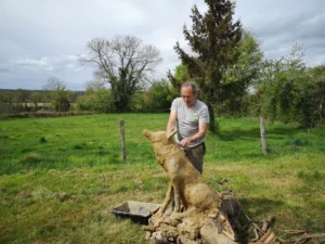 Lupus Zag Artiste Sculpteur Creuse