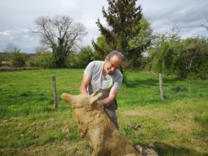 Lupus Zag Artiste Sculpteur Creuse